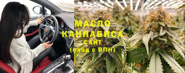 индика Баксан